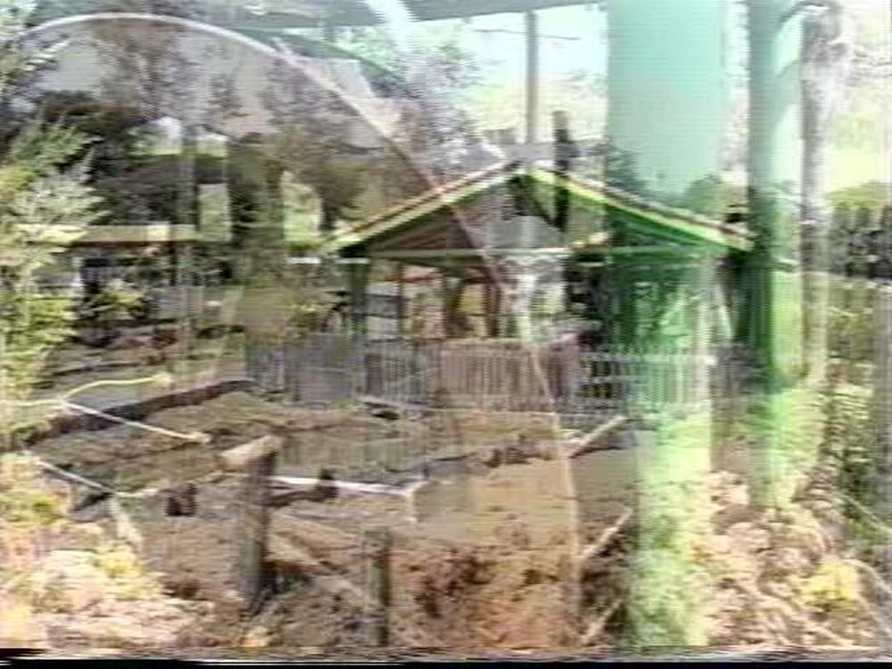 Foto - Visita da Academia Paulista de Letras em Botucatu em 2001