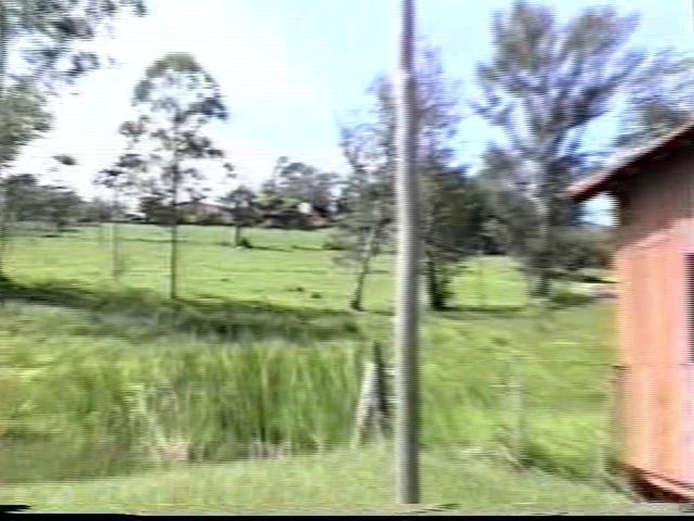 Foto - Visita da Academia Paulista de Letras em Botucatu em 2001