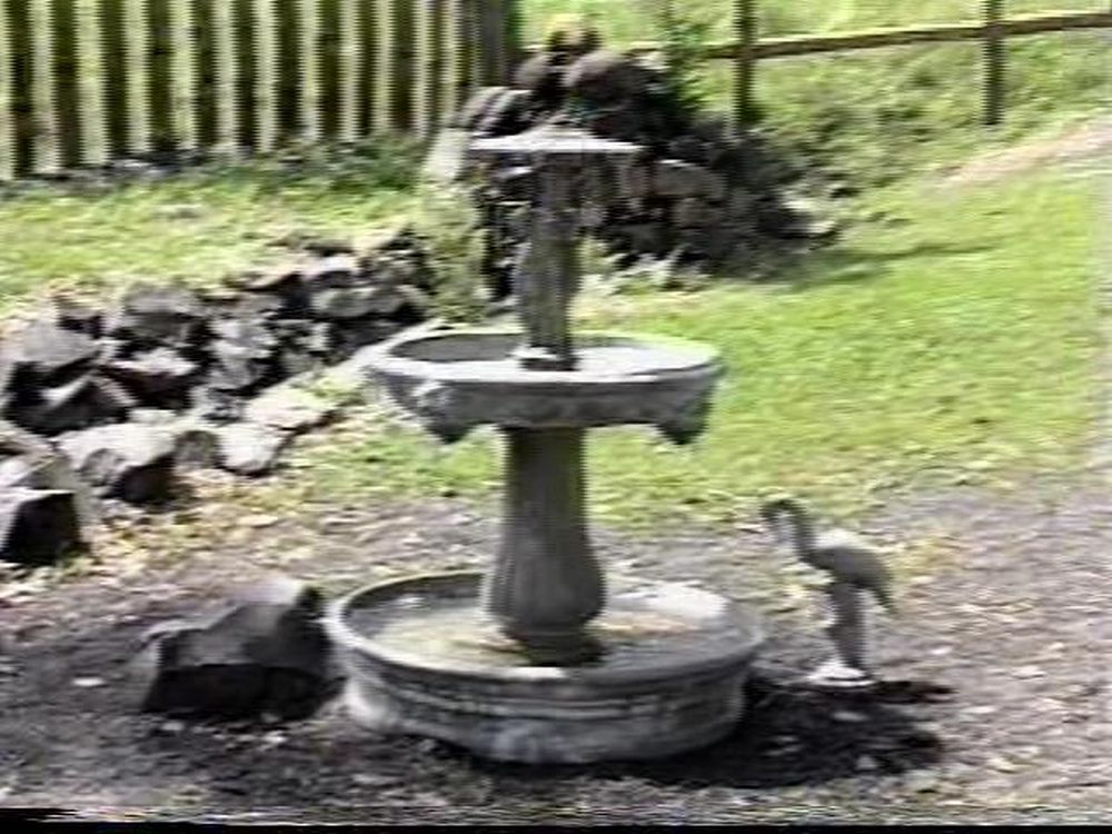 Foto - Visita da Academia Paulista de Letras em Botucatu em 2001