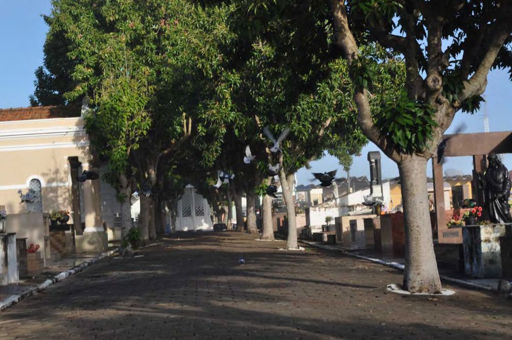 Foto - Homenagem ao Capitão José Gomes Pinheiro pelo Prefeito João Cury Neto em 14/04/2011