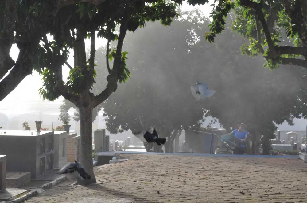 Foto - Homenagem ao Capitão José Gomes Pinheiro pelo Prefeito João Cury Neto em 14/04/2011